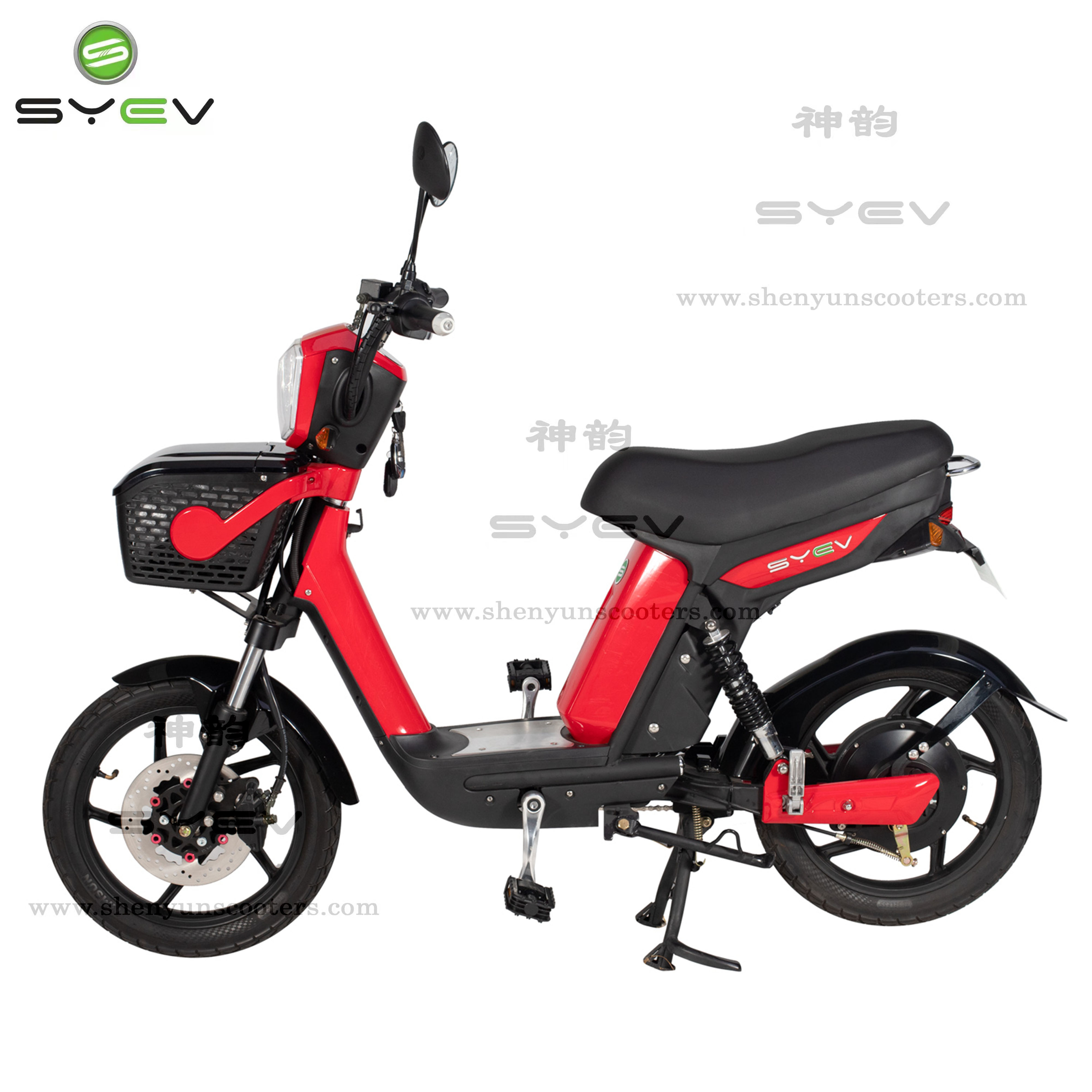 2022-off-road-electric-bike-with-protable-battery-lxqs2-from-china